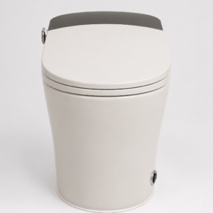 SMART TOILET BLACK 110V 2088