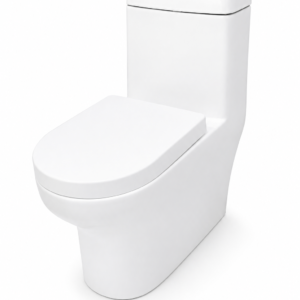 VASO SANITARIO MONOBLOCO  REST